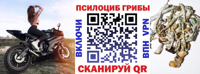 omg рабочий сайт  Липецк  Псилоцибиновые грибы MAGIC MUSHROOMS 